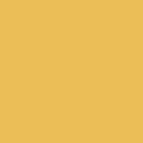 ColorPlay (Cotton Organic